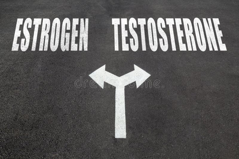Estrogen vs testosterone choice concept, two direction arrows on asphalt. Estrogen vs testosterone choice concept, two direction arrows on asphalt.