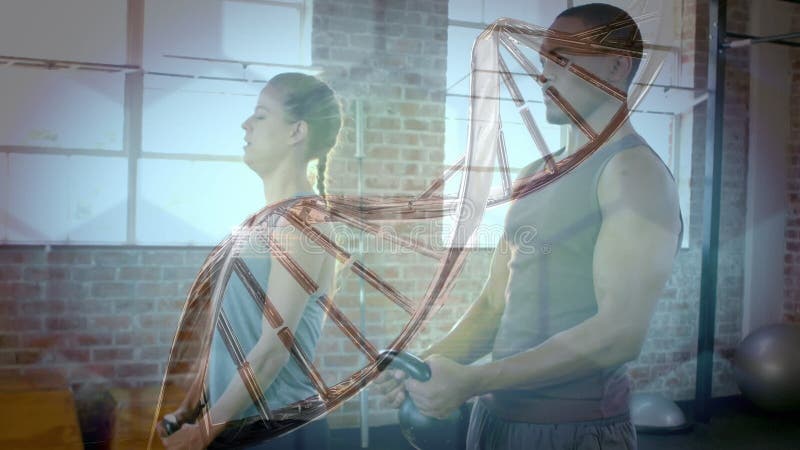 Estructura de adn girando contra la raza mixta encaja pareja que trabaja con campanas de cetáceos en el gimnasio almacen de video