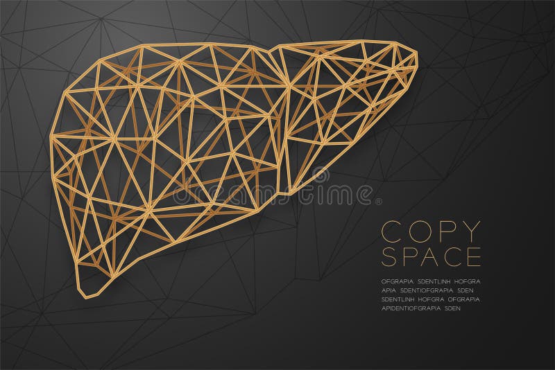 Estructura de oro del marco del polígono del wireframe de la forma del hígado, ejemplo del diseño de concepto del órgano de l stock de ilustración Estructura de oro del marco del polígono del wireframe de la forma del hígado, ejemplo del diseño de concepto del órgano de l stock de ilustración