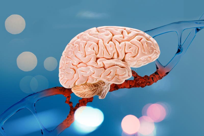 Estructura del adn cerebral humano helix desoxirribonucleico ácido nucleico moléculas neuronales conexiones genomas desarrollo de fotografía de archivo libre de regalías