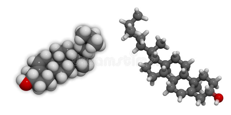 Estructura Molecular 3D Del Colesterol Stock de ilustración - Ilustración  de plasma, gordo: 25288276