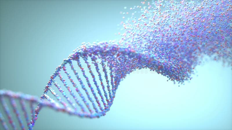 Estructura molecular genética del ADN humano