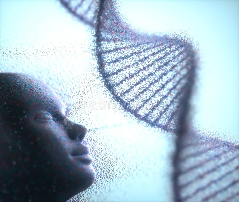 Estructura molecular genética del ADN humano