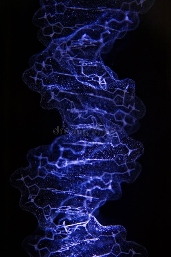 A 3D model of the DNA crystal structure, lit up in blue, on a black background. A 3D model of the DNA crystal structure, lit up in blue, on a black background.