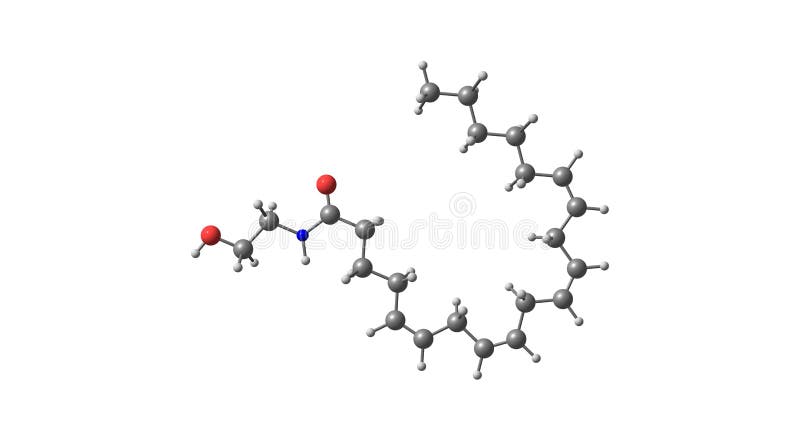 Estrutura Molecular Anandamida Isolada Em Branco Ilustração Stock -  Ilustração de atômico, chocolate: 214613056