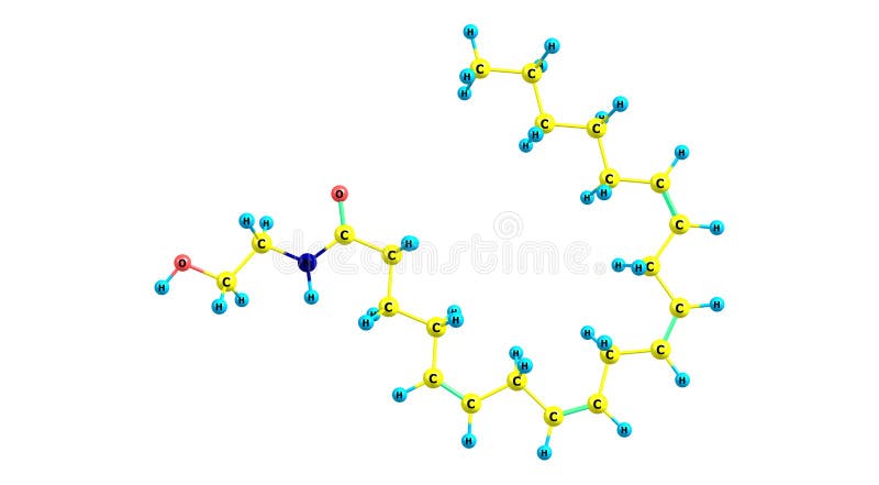 Estrutura Molecular Anandamida Isolada Em Branco Ilustração Stock -  Ilustração de atômico, chocolate: 214613056