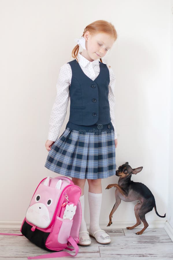 Estudante com pasta cor-de-rosa e cão no interior imagens de stock royalty free