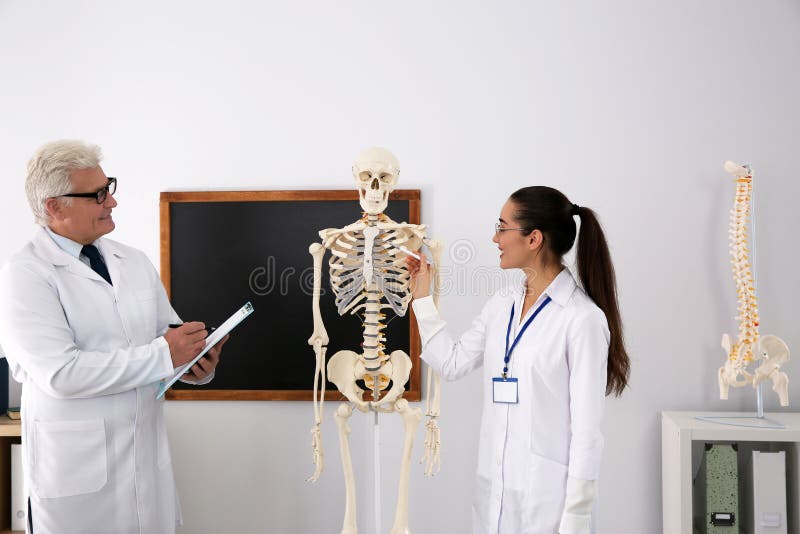 Medicina ayurvédica, Esqueleto humano anatomia, Faculdade de medicina
