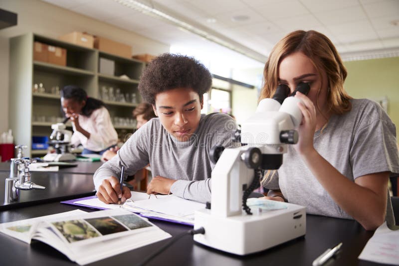 Estudantes da High School que olham através do microscópio na turma de Biologia
