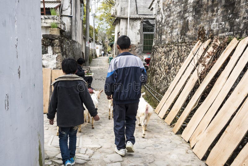 Estudantes Que Conduzem O Professor Louco Imagem de Stock 