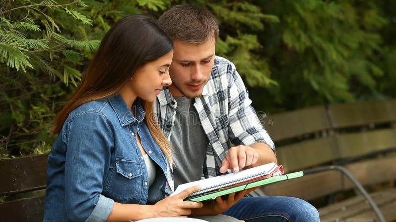 Estudantes que estudam junto em um parque