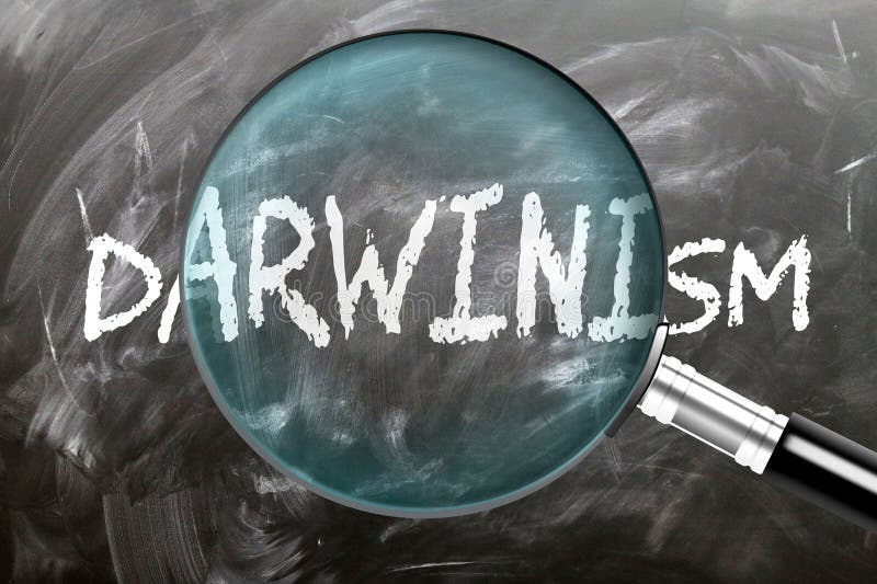 Estudiar e inspeccionar el darwinismo. una lupa de cristal que aumenta el tamaño de un worddarwinismwriter escrito en una pizarra. Darwinismo objeto de examen e investigación. mirarlo más de cerca