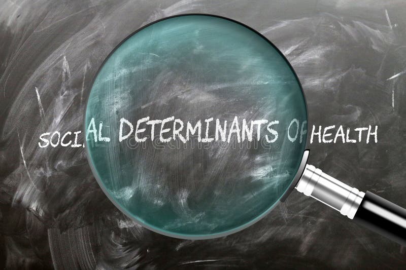 Estudiar e inspeccionar los determinantes sociales de la salud stock de ilustración