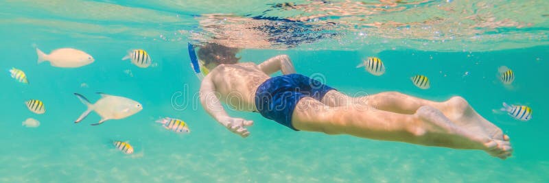 Estudo de natureza subaquático, menino que mergulha na BANDEIRA azul clara do mar, FORMATO LONGO foto de stock royalty free Estudo de natureza subaquático, menino que mergulha na BANDEIRA azul clara do mar, FORMATO LONGO foto de stock royalty free