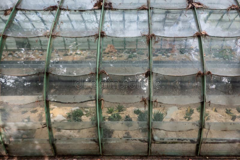 Estufa no Jardim Botânico de Trastevere, Roma, Itália imagens de stock Estufa no Jardim Botânico de Trastevere, Roma, Itália imagens de stock