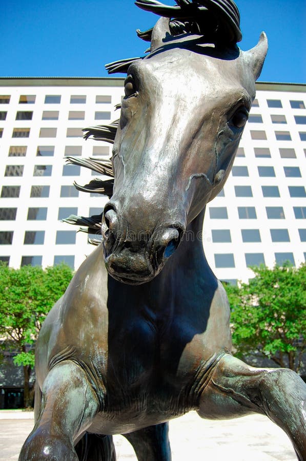 A estátua do cavalo é indicada no parque Foi recolhido as horas de verão em torno de Texas, América imagem de stock royalty free A estátua do cavalo é indicada no parque Foi recolhido as horas de verão em torno de Texas, América imagem de stock royalty free