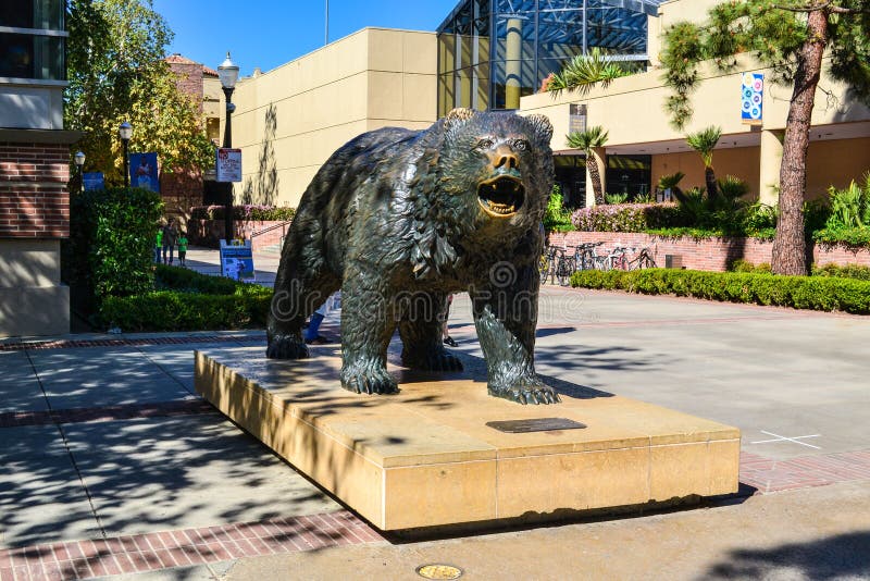 Estátua do urso do Bruin do UCLA fotos de stock royalty free Estátua do urso do Bruin do UCLA fotos de stock royalty free