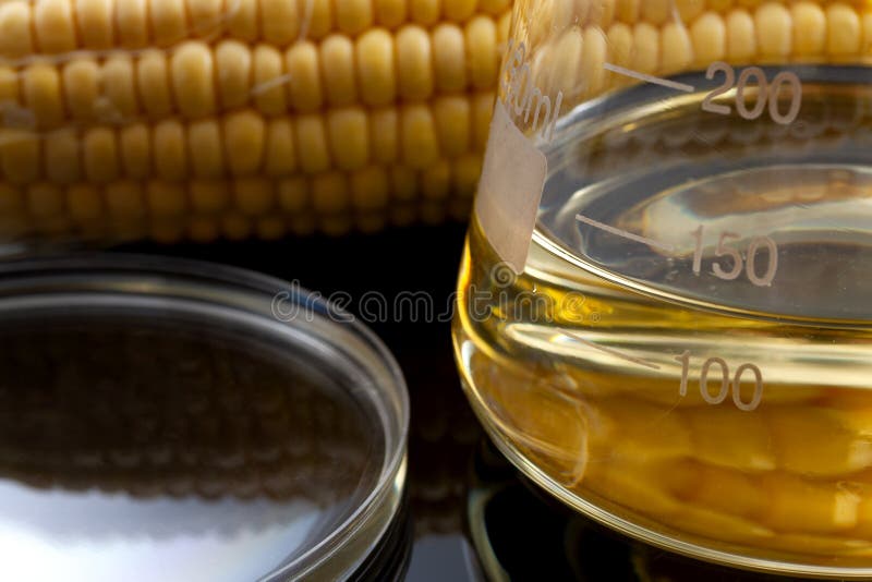 Ethanol as renewable fuel, sustainable green alternative to fossil fuels and biofuel solution concept with corn, glass beaker and