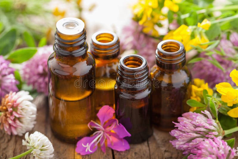 Essential oils and medical flowers herb. Essential oils and medical flowers herb