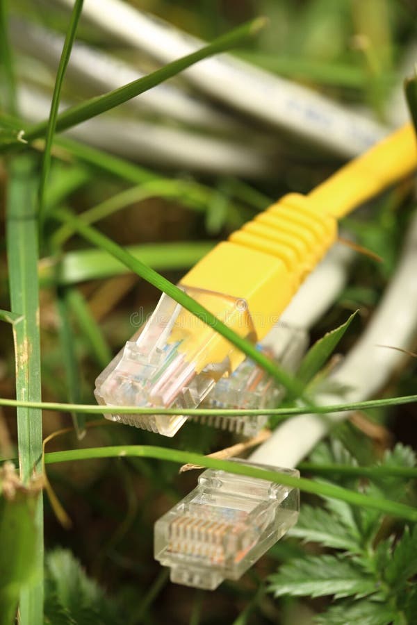 Ethernet cable on grass. Internet, computer.