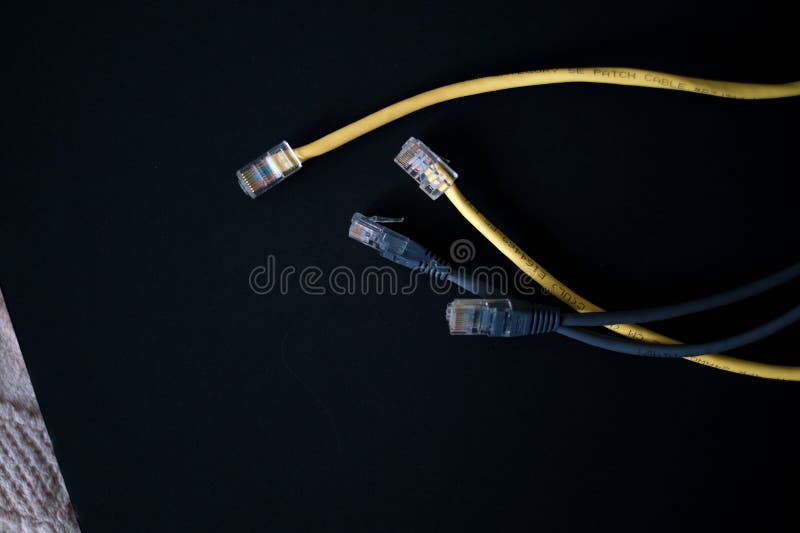 Ethernet cables with gold-plated connectors rest on a dark surface, symbolizing the backbone of wired internet. A minimalist display of Ethernet cords, crucial for establishing reliable and secure network connections in both home and office settings