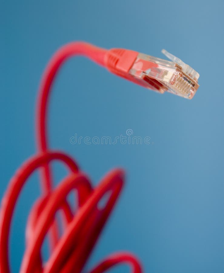 Ethernet för kontaktdon cat5 royaltyfri fotografi Ethernet för kontaktdon cat5 royaltyfri fotografi