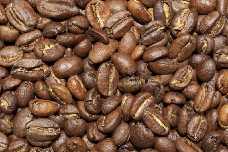 Ethiopian Yirgacheffe Coffee Beans Stock Photo Image of bunna, roast