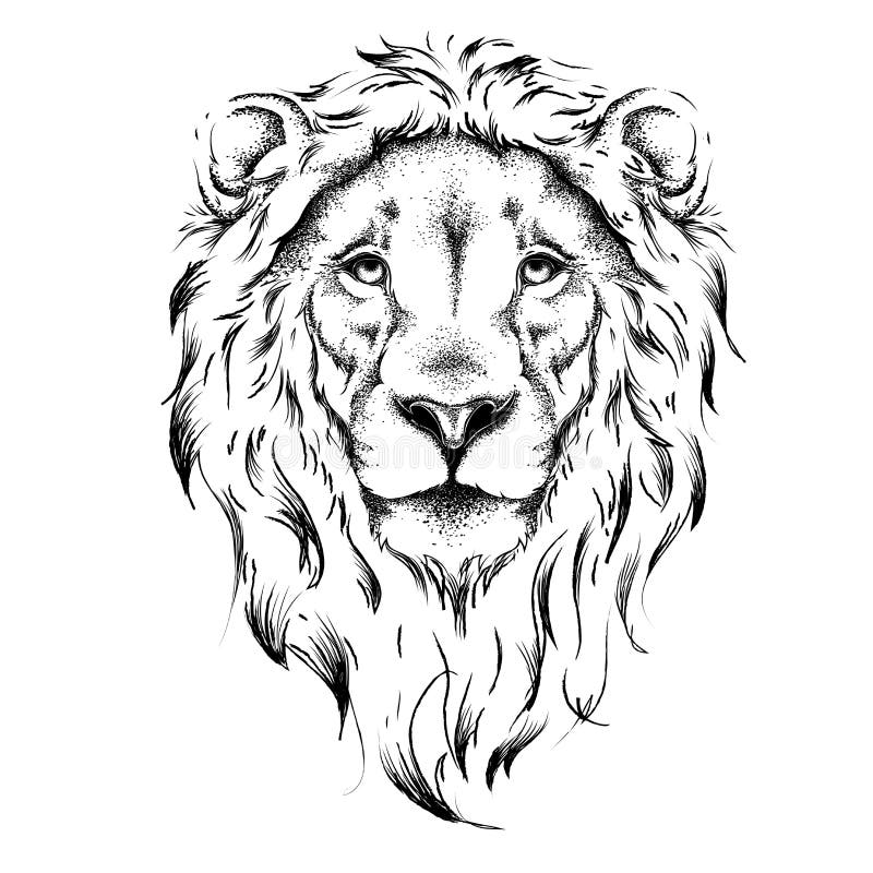 Tattoo uploaded by emma b  King of the jungle lion floral tattoo sketch  lion liontattoo lionking kingofthejungle jungle realism realistic  lionhead lioness leafs leaftattoo sketch sketches  Tattoodo