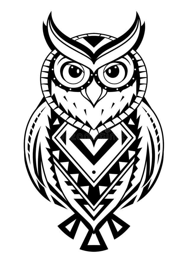 Australian Drawing Barn Owl  Small Barn Owl Tattoo Transparent PNG   564x846  Free Download on NicePNG