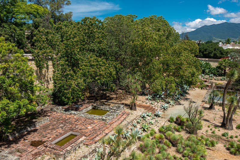 Ethnobotanical Garden in Oaxaca, Mexico Stock Image Image of garden