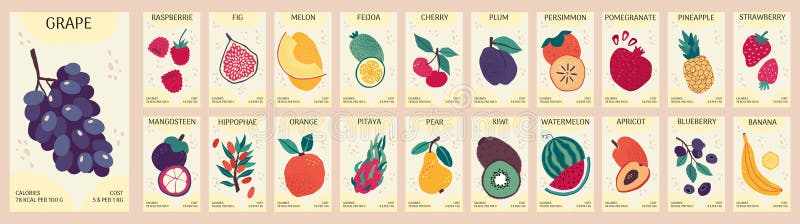 Etichetta frutta. autoadesivi. ananas tropicale o banana. coperture di generi alimentari per vegani. orticoltura. costo dell'uva illustrazione vettoriale