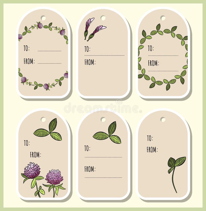 Etichette del regalo dei fiori e delle foglie del trifoglio Il vettore contrassegna l'accumulazione illustrazione di stock Etichette del regalo dei fiori e delle foglie del trifoglio Il vettore contrassegna l'accumulazione illustrazione di stock