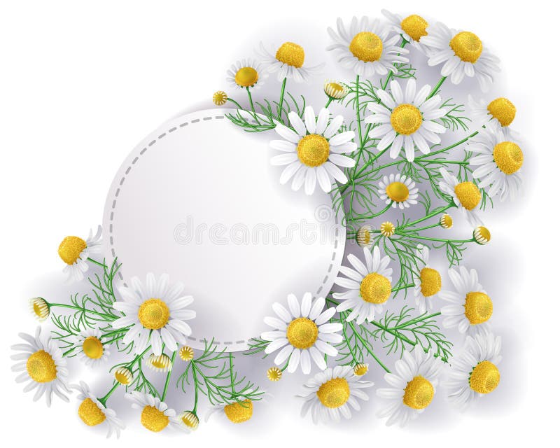 ilustración de manzanilla decorativa. pegatinas con flores para el álbum.  hermoso estilo floral stickers.doodle. dibujando flores brillantes.  ilustración vectorial 6658930 Vector en Vecteezy