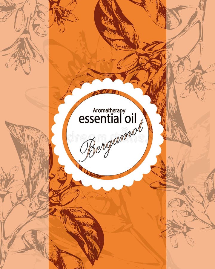 Etiqueta para el aceite esencial de la naranja stock de ilustración Etiqueta para el aceite esencial de la naranja stock de ilustración