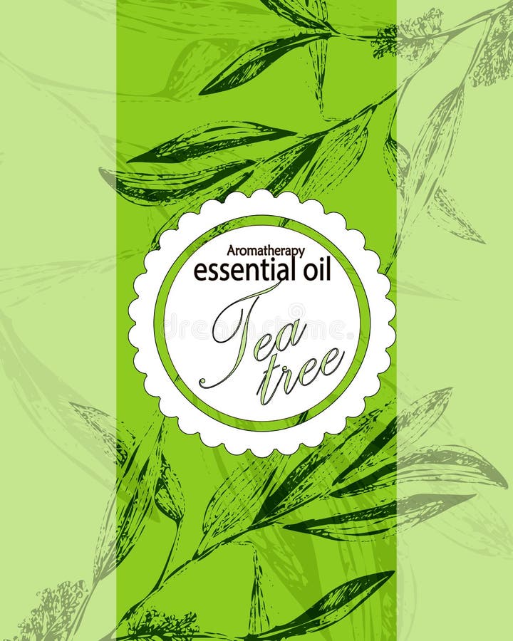 Etiqueta para el aceite esencial del árbol del té libre illustration Etiqueta para el aceite esencial del árbol del té libre illustration