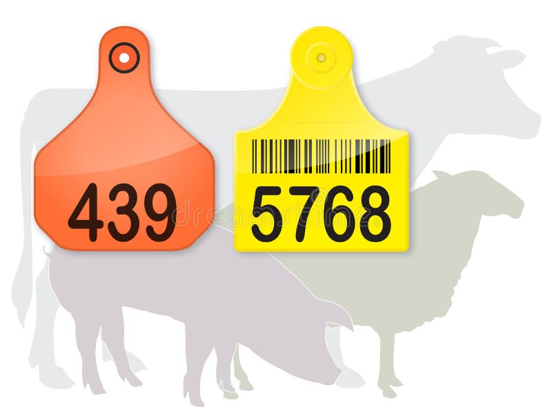 Vector ear tags with farm animals: cow, pig, sheep. Vector ear tags with farm animals: cow, pig, sheep