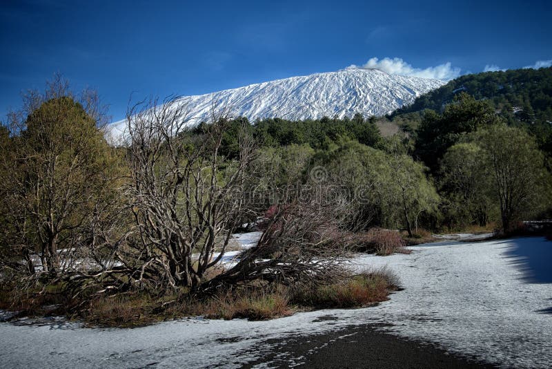Etna Mount Winter Landscape Stock Photo Image of sicily, pine 137446952