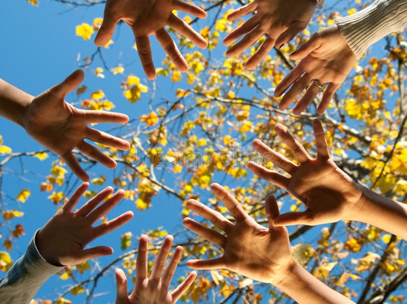 Four teens of varying nationalities reaching towards each other's hands outdoors in the fall. Four teens of varying nationalities reaching towards each other's hands outdoors in the fall