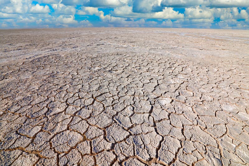 Etosha panna, torr säsong i Namibia Afrika Torrt sommarlandskap med blå himmel och vita moln, vit grå lerig sjö Sommar arkivfoto Etosha panna, torr säsong i Namibia Afrika Torrt sommarlandskap med blå himmel och vita moln, vit grå lerig sjö Sommar arkivfoto