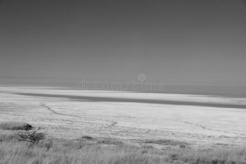 The Etosha Salt pans in the national park in Namibia royalty free stock photo