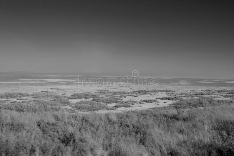 The Etosha-saltpan in the National Park in Namibia stock images