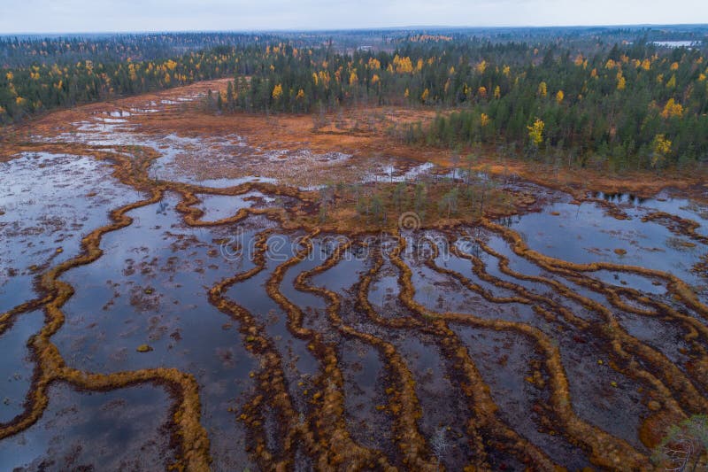 An aerial of unique aapa mires in Northern Finland bogland during autumn foliage. An aerial of unique aapa mires in Northern Finland bogland during autumn foliage.