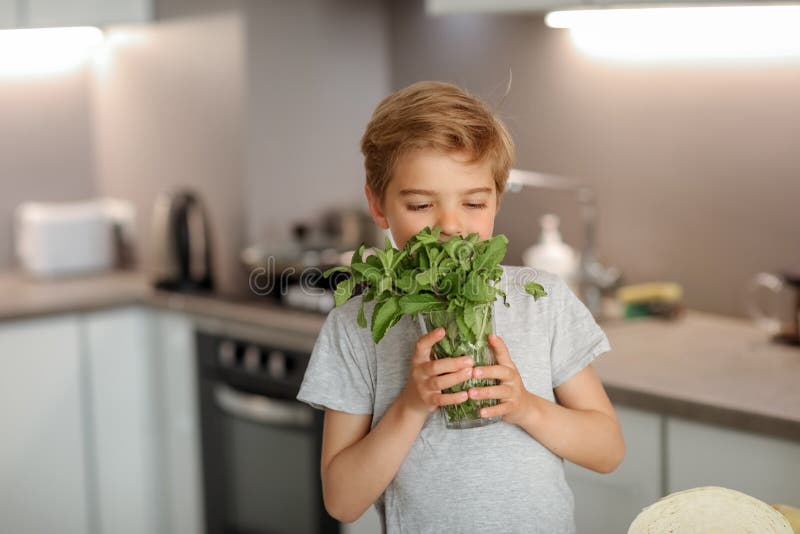 Ett barn på 8 år har ett genomskinligt glas med nytorkad mynta arkivbilder