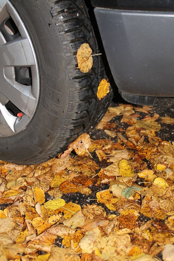 Ett bilgummihjul i hösten