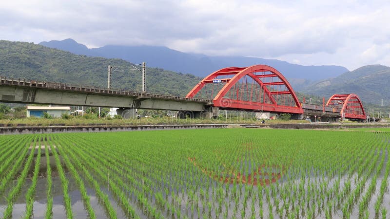 Ett expresståg av typen Tze-Chiang som färdas genom vackra Kecheng Iron Bridge