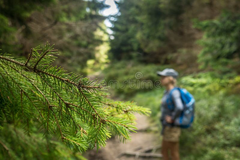 Ett foto av en lycklig flicka som promenerar en bergslinga royaltyfri bild Ett foto av en lycklig flicka som promenerar en bergslinga royaltyfri bild