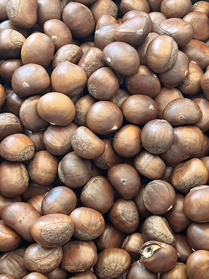 a photography of a pile of nuts with a few nuts in the middle, acorns are piled together in a pile on a table. a photography of a pile of nuts with a few nuts in the middle, acorns are piled together in a pile on a table.