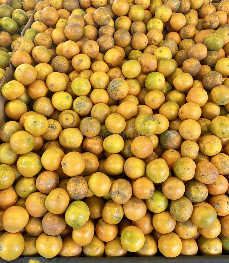 a photography of a pile of oranges sitting on top of each other, oranges are piled up in a bin at a market. a photography of a pile of oranges sitting on top of each other, oranges are piled up in a bin at a market.