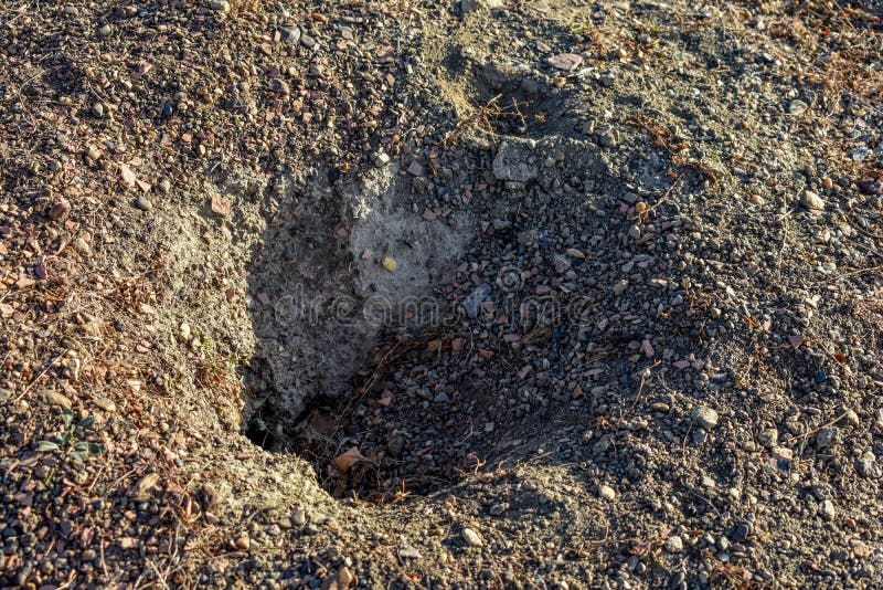 Ett hål för präriehund som djupt grävas arkivfoton Ett hål för präriehund som djupt grävas arkivfoton