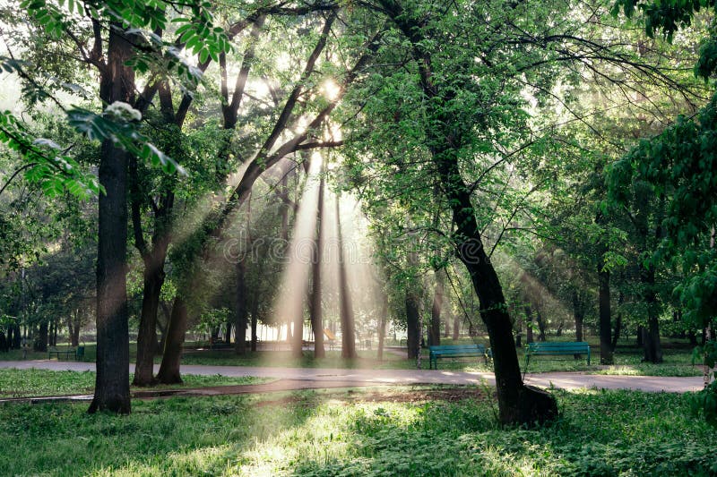 Ett landskap med en morgon parkerar, och solen rays göra deras väg till och med moln och sidor i träden royaltyfri bild Ett landskap med en morgon parkerar, och solen rays göra deras väg till och med moln och sidor i träden royaltyfri bild